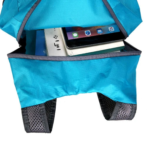 On white background. Open zipper showing can fit several folders, books, and phone/ablet.  Mesh straps.